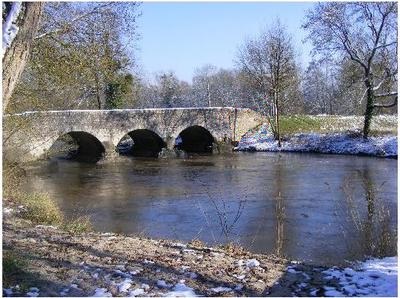 Niveau le Beuvron